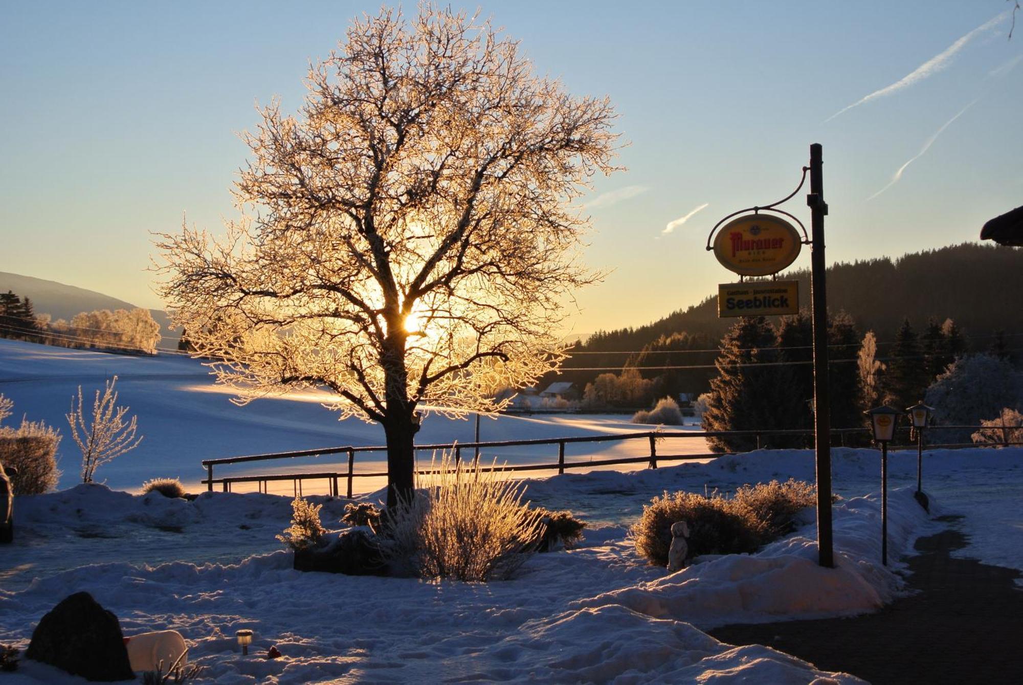 Hotel Gasthof Seeblick Zeutschach Екстер'єр фото