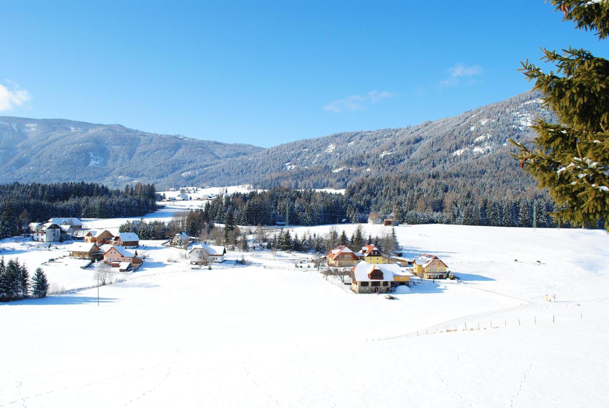 Hotel Gasthof Seeblick Zeutschach Екстер'єр фото